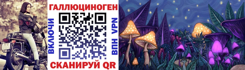 Галлюциногенные грибы мицелий  Кондопога 